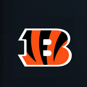 Cincinnati Bengals Personalised Storybook