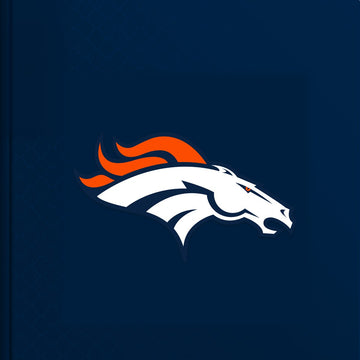 Denver Broncos Personalised Storybook