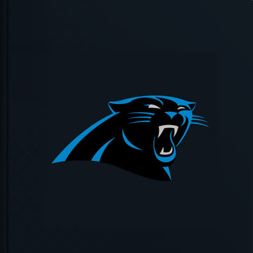 Carolina Panthers Personalised Storybook