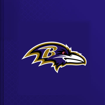 Baltimore Ravens Personalised Storybook