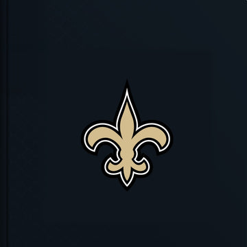 New Orleans Saints Personalised Storybook